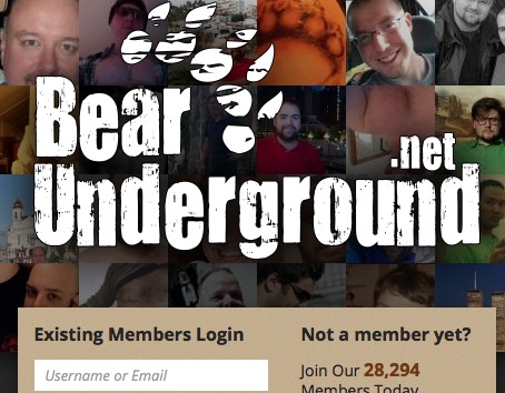 BearUnderground.net 