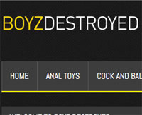 BoyzDestroyed.com 