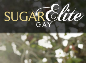 GaySugarElite.com 